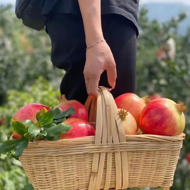 Soft Seeded Pomegranate Seeds