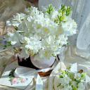 White