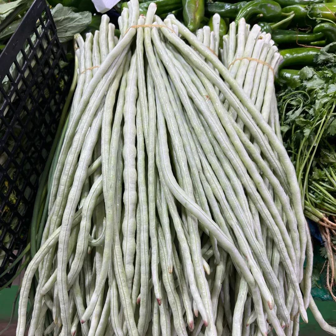 Multi-Color High Yield Long Cowpea Seeds