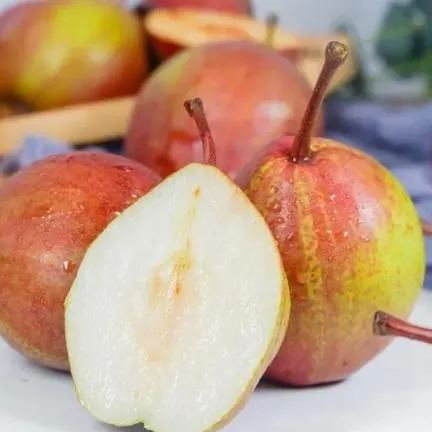 Sweet Rainbow Pear Seeds