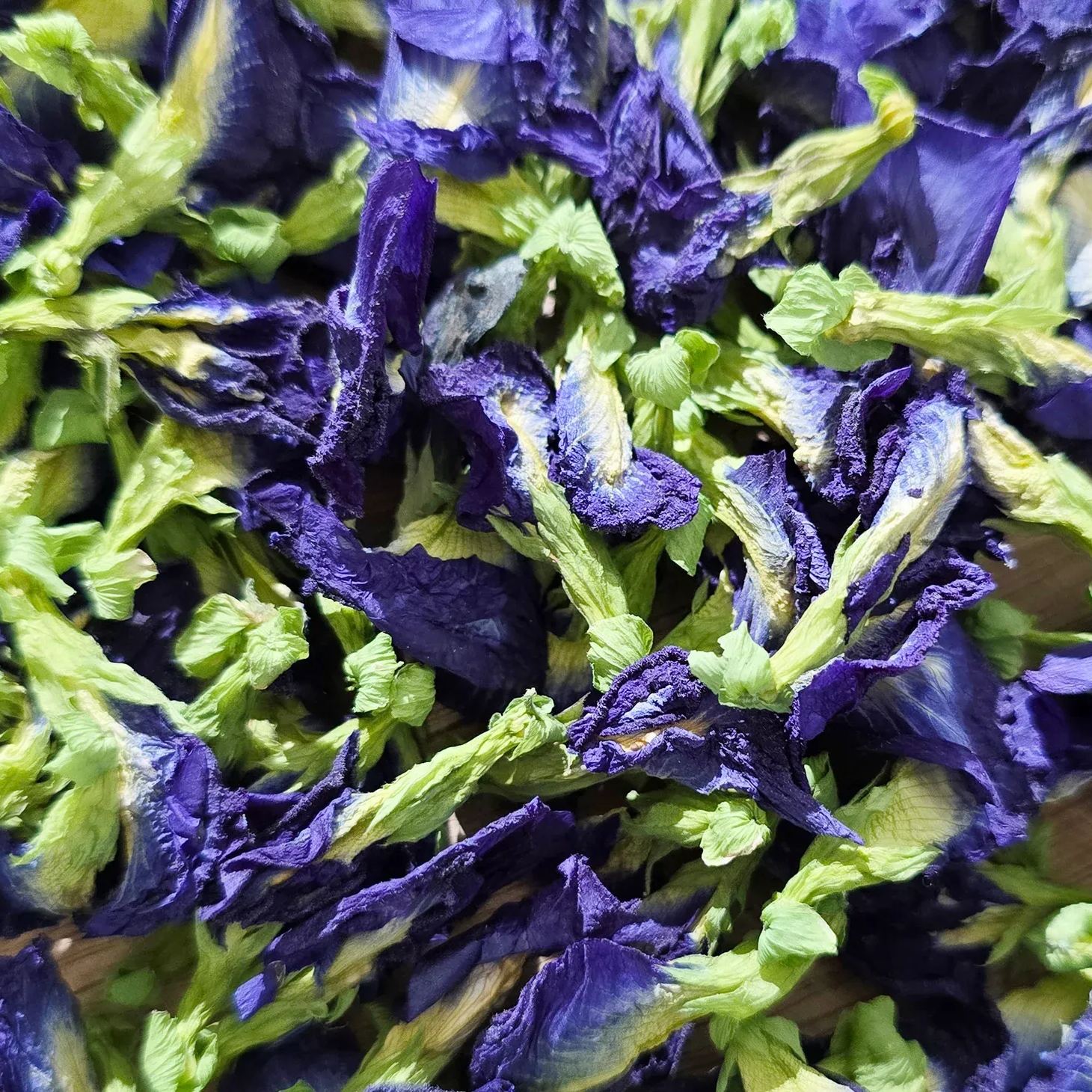 Butterfly Pea Seeds