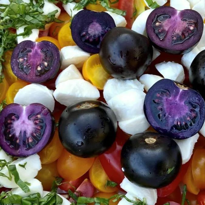 Rare Non GMO Tomato Seeds Purple Galaxy