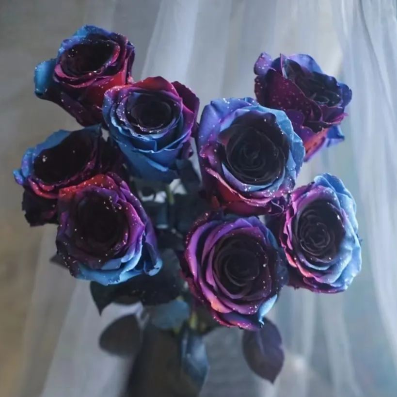 Starry Sky Roses