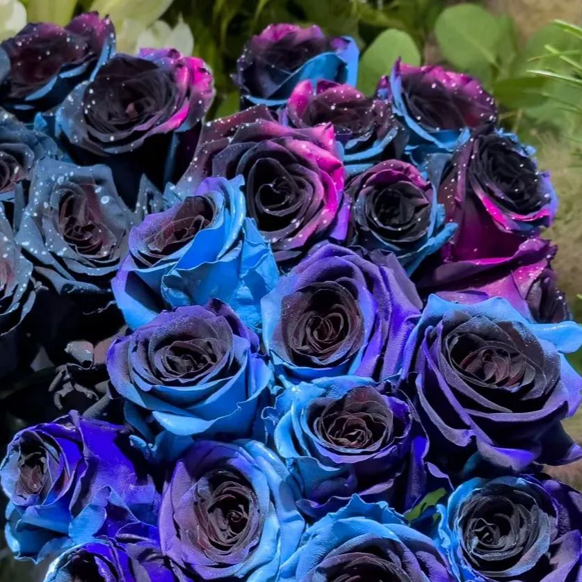 Starry Sky Roses