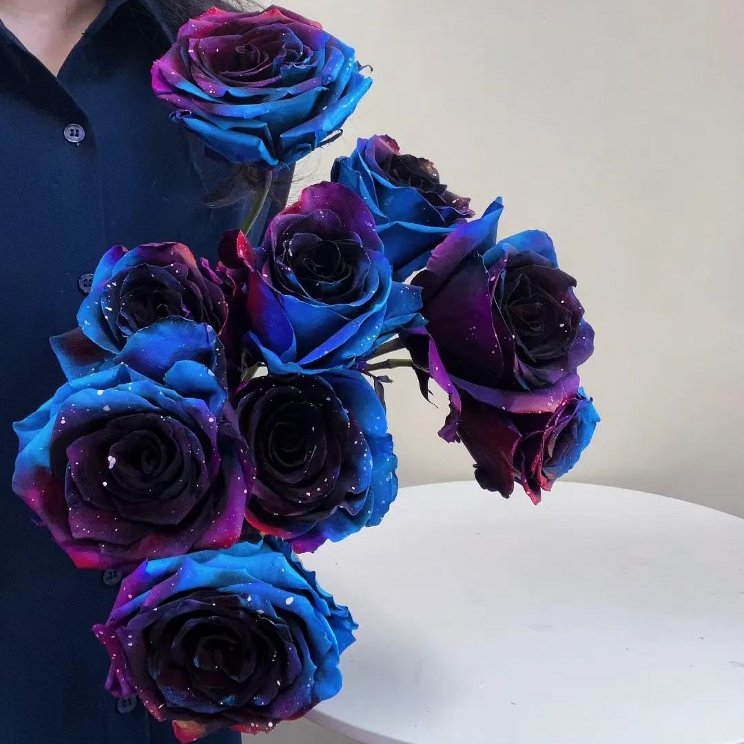 Starry Sky Roses