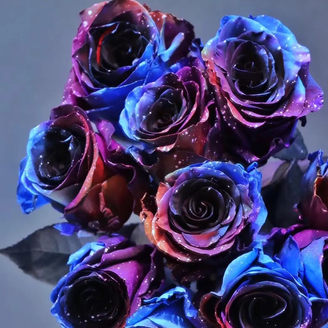 Starry Sky Roses