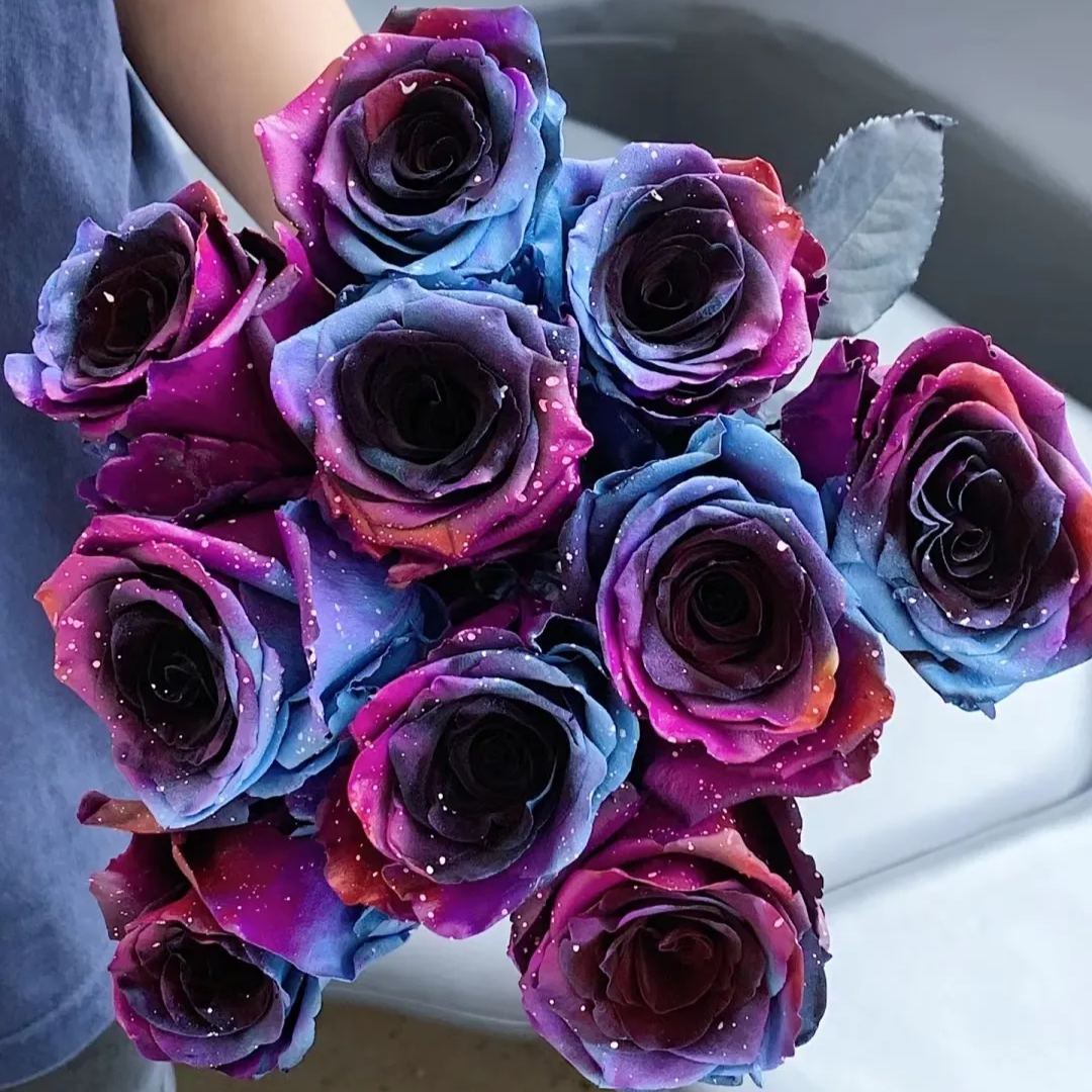 Starry Sky Roses