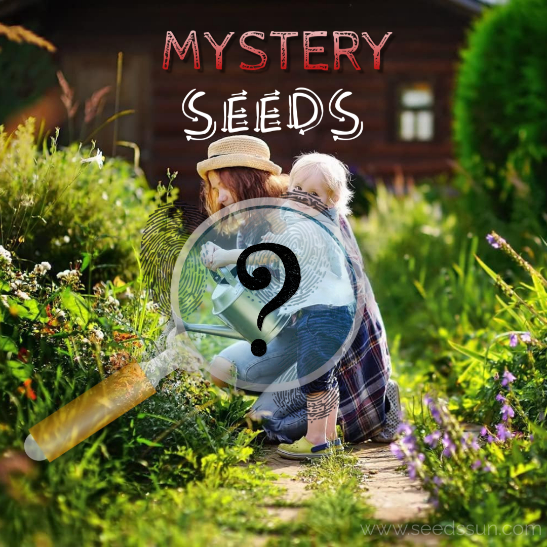 Mystery Seeds - Unlock A Secret Garden Surprise! 🌱