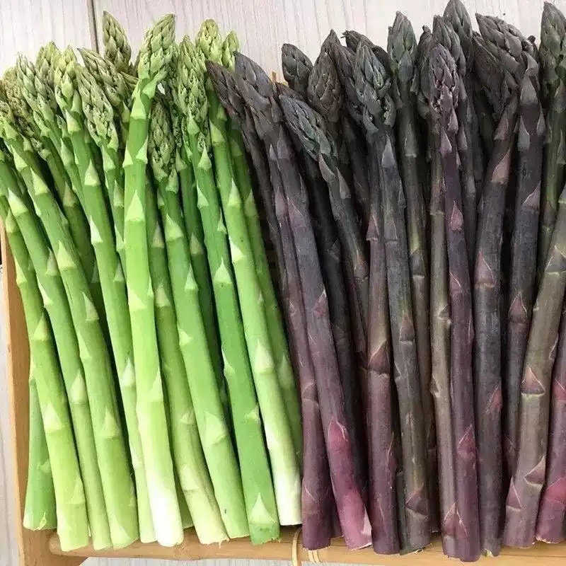 👑King of Vegetables - Asparagus Organic Seeds