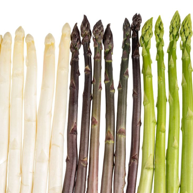👑King of Vegetables - Asparagus Organic Seeds