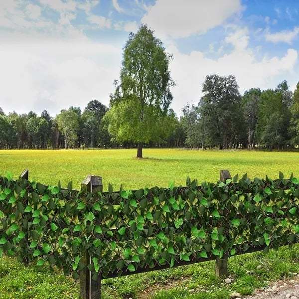 🔥Last Day 75% OFF🔥Expandable privacy fence