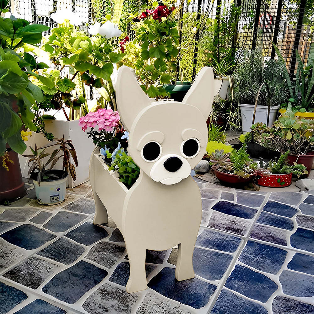 Chihuahua Planter