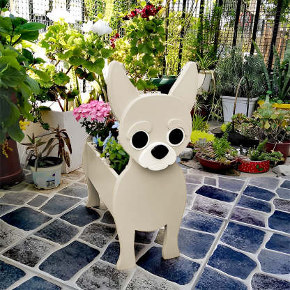 Chihuahua Planter