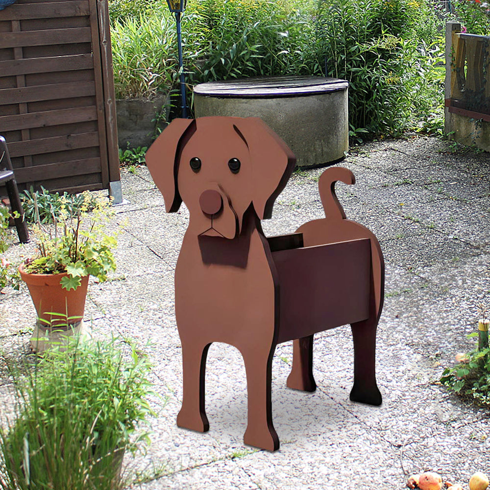 Chocolate Labrador Planter