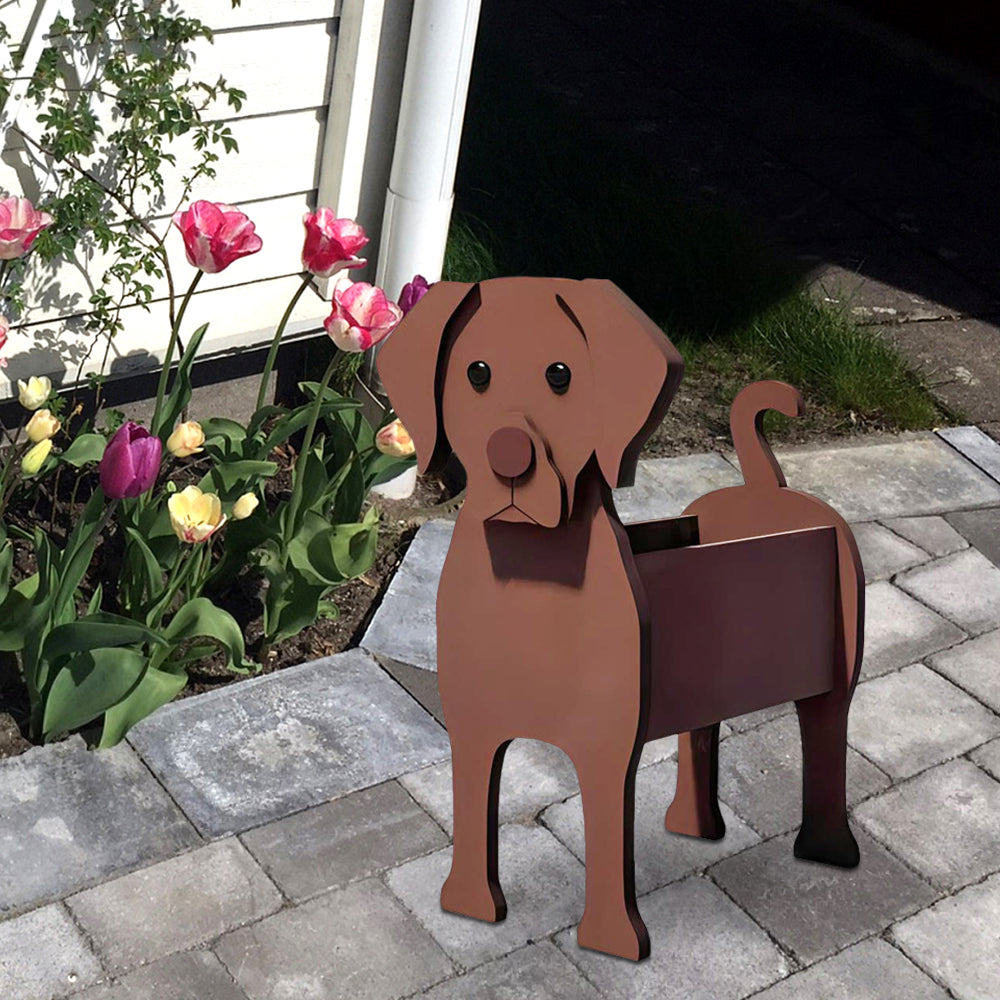 Chocolate Labrador Planter