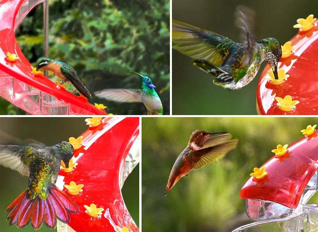 🔥Hot Sale - DNA Helix 32-Port Hummingbird Feeder