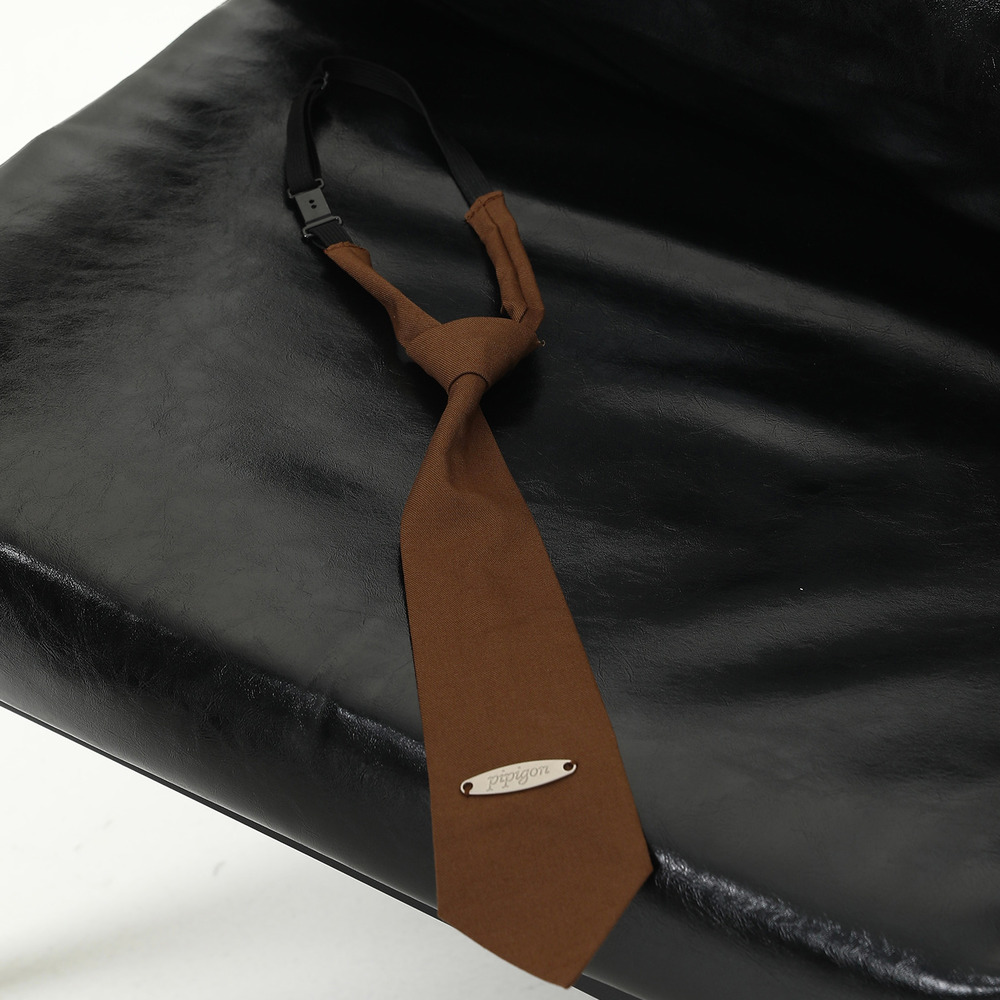 美式復古棕色領帶美拉德襯衫穿搭百搭氛圍感便擕式領帶