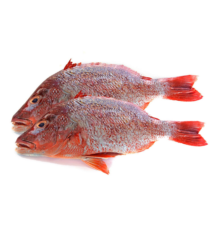 Cleaned Headless Red Bream Fish