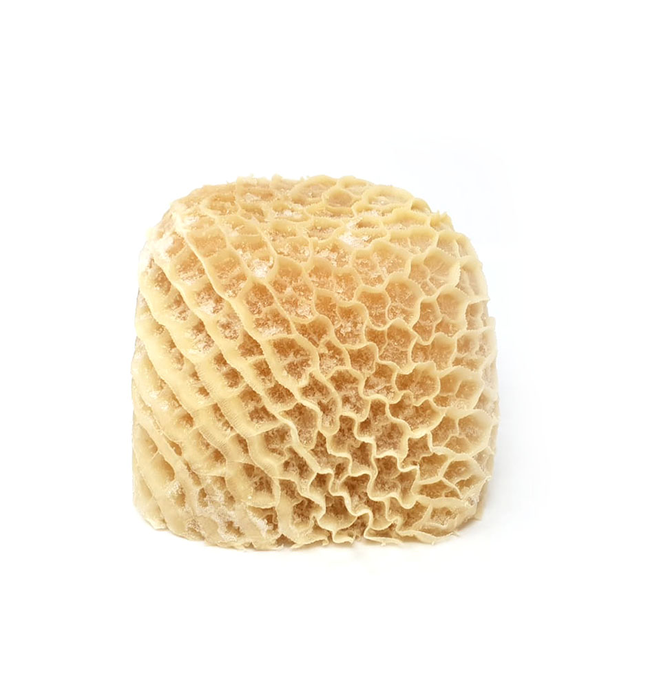 Honeycomb Tripe Saki