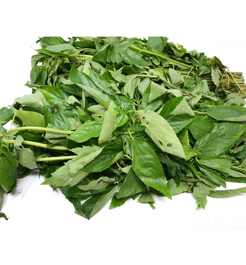 Fresh Ewedu Molokhia Leaves Bunch (Please Read Notice Before Purchasing This Product)