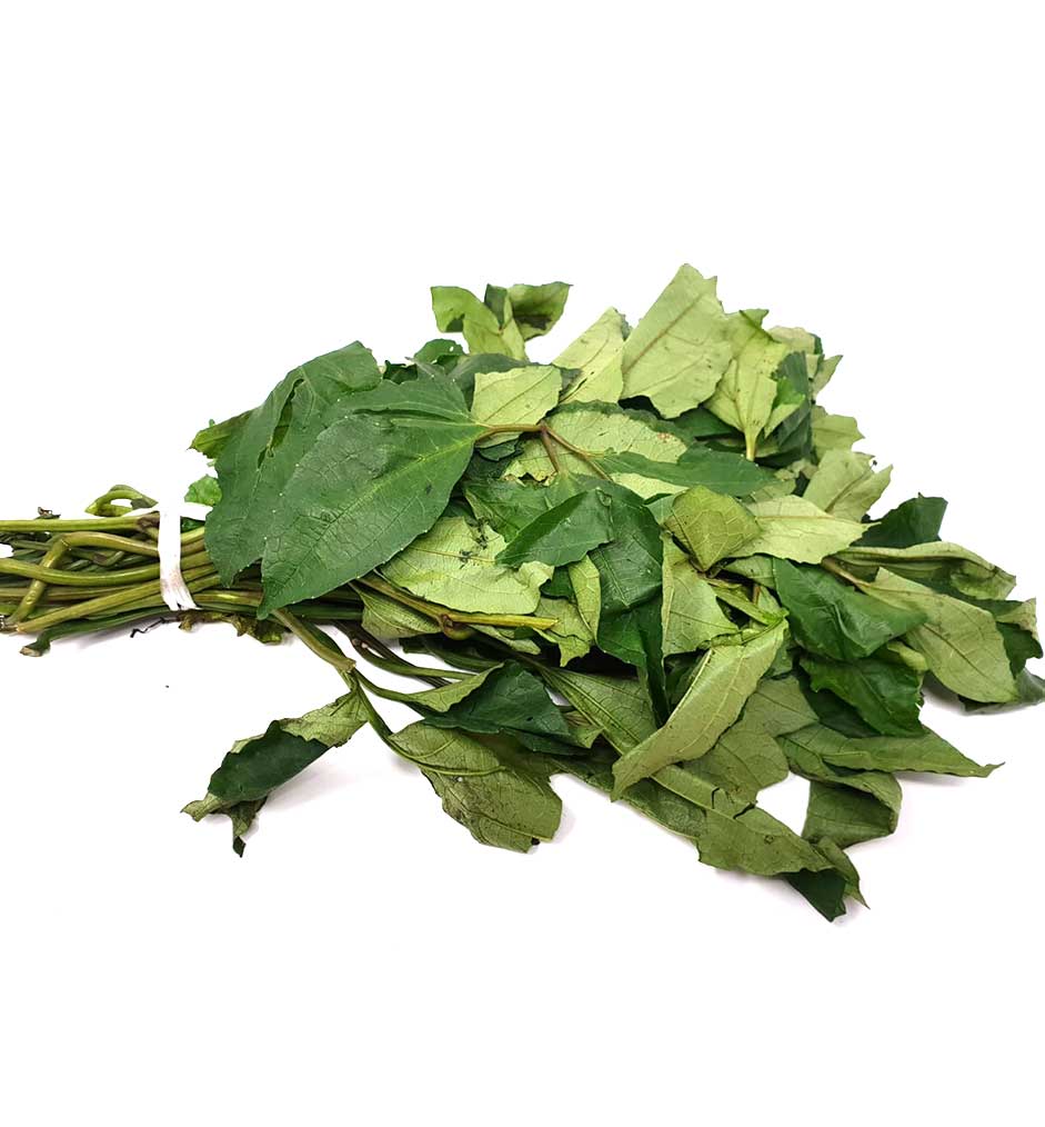 Fresh Ugu Bunch (Please Read Notice Before Purchasing This Product)
