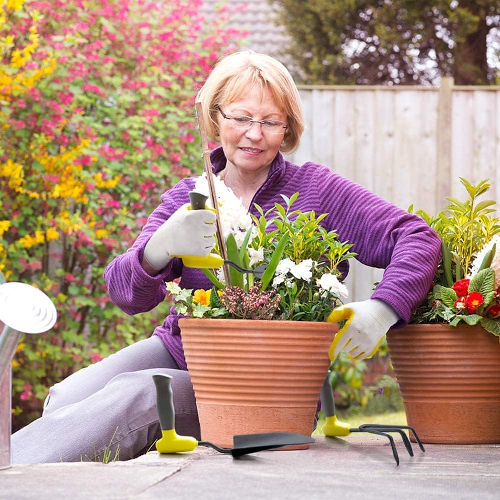 Gartengeräte Satz von 3, Edelstahl Gartenarbeit Kit, Upright Handle Garden Tool Set für Hand Joint Damage/Arthritis, Gartengeräte Geschenke1