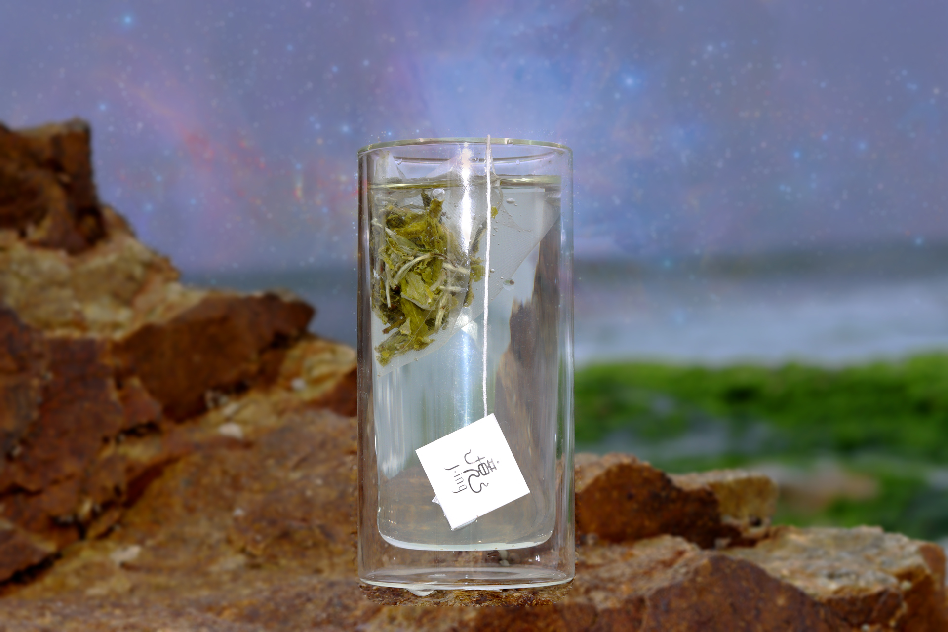 The World of Movies / Stars of Ocean 星辰大海 