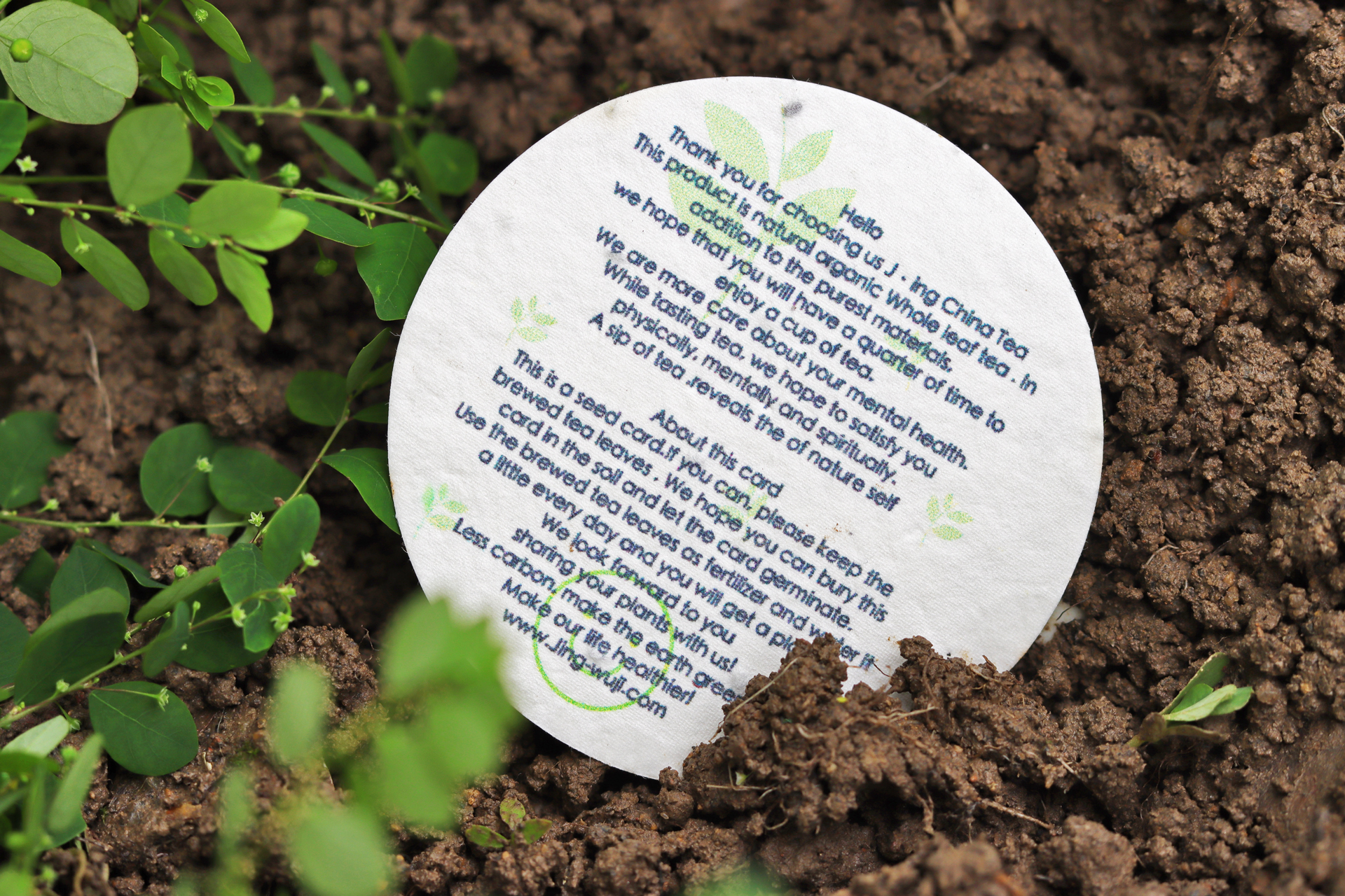 Fantasy of Earthly Passbyer 红尘客梦