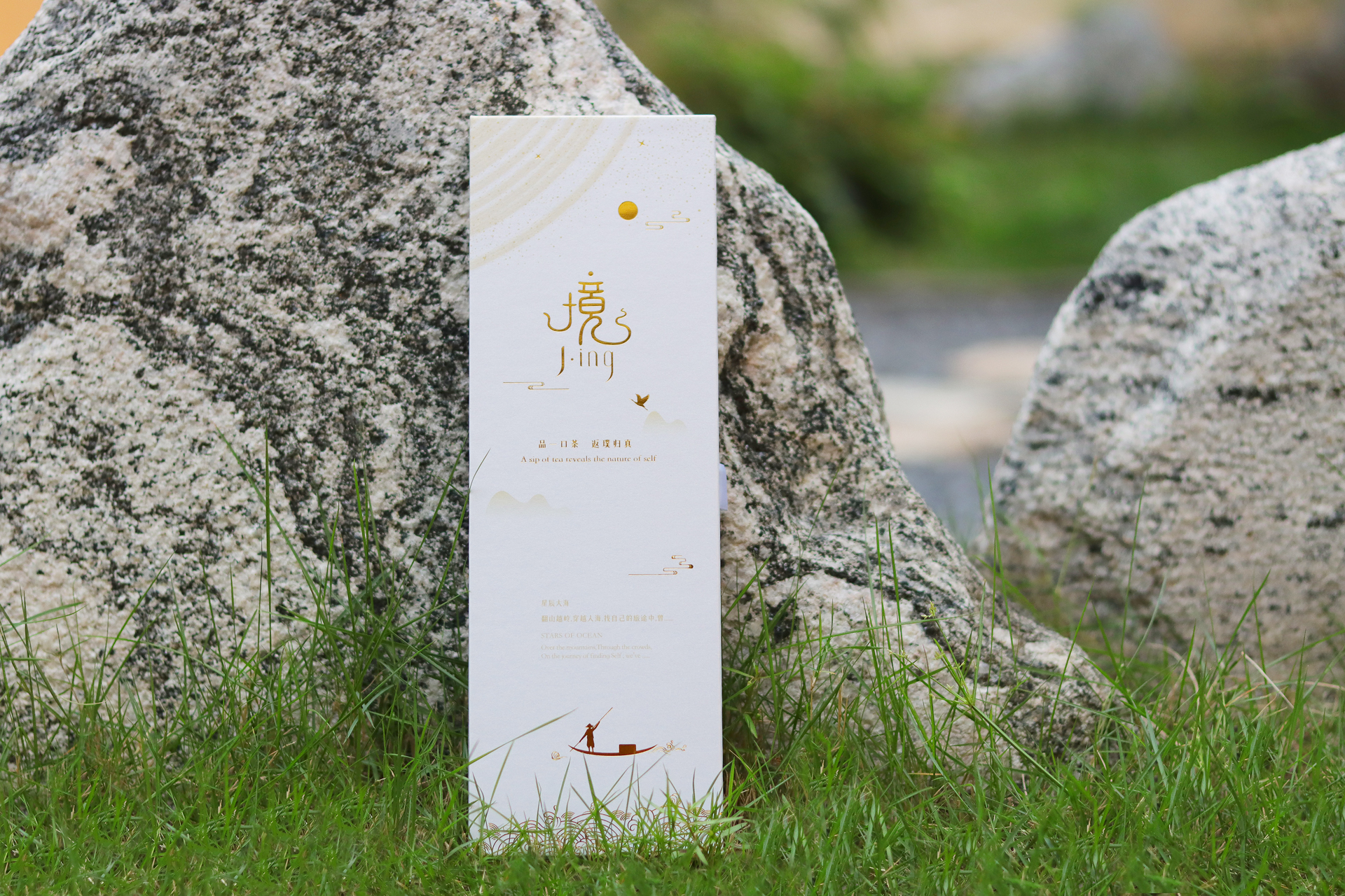 Stars of Ocean / The World of Movies 星辰大海 