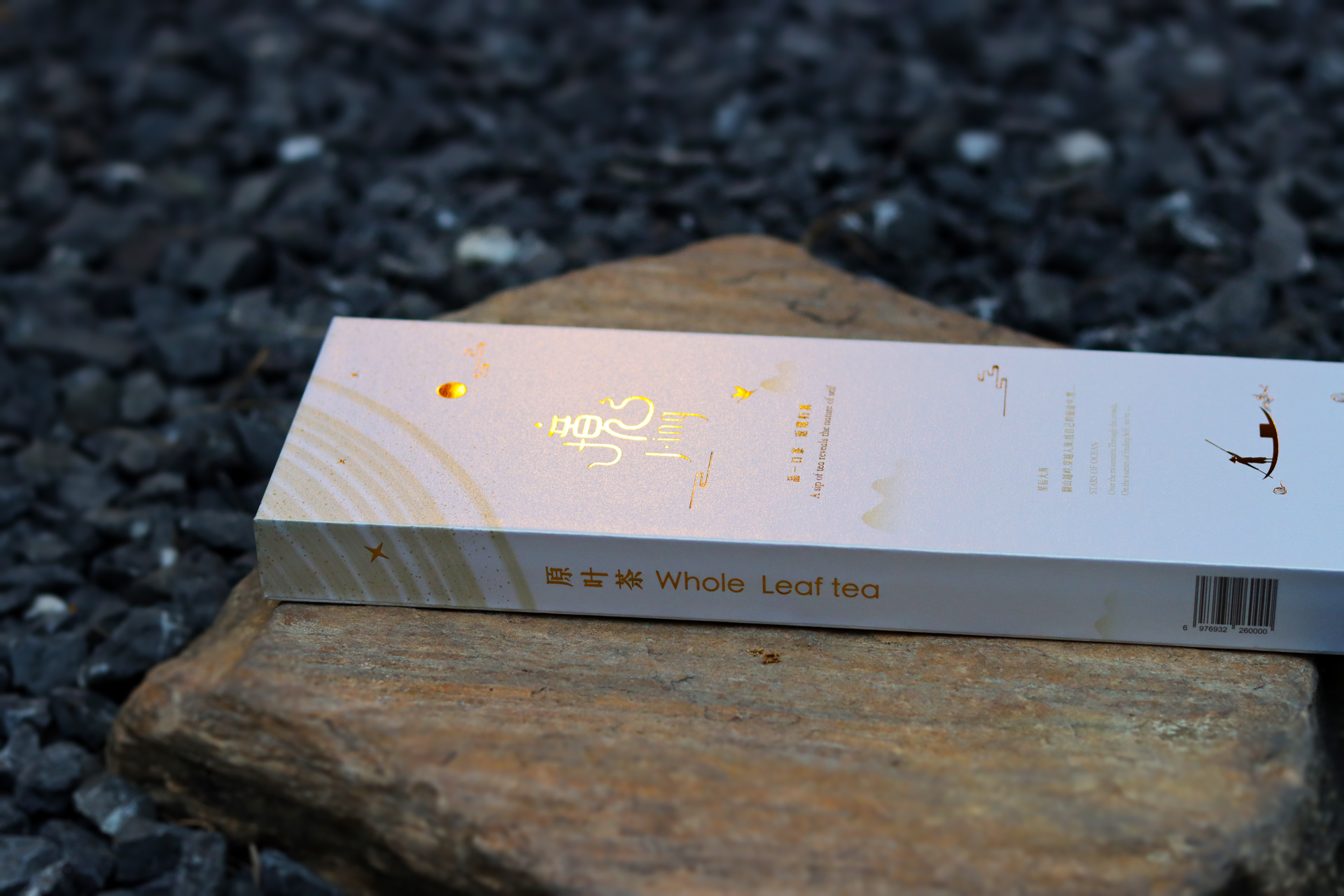 Stars of Ocean / The World of Movies 星辰大海 