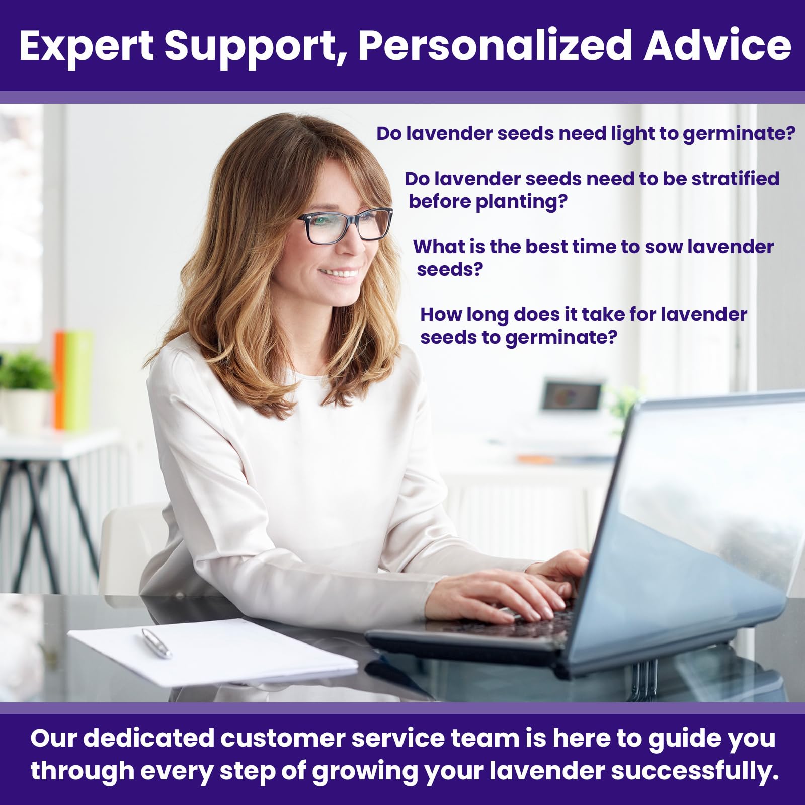 NatureZ Edge1500 Nasiona lawendy angielskiej do sadzenia na zewnątrz lub w pomieszczeniach, 90% kiełkowania, rośliny lawendy, bez GMO, nasiona ziół heirloom (1 opakowanie)