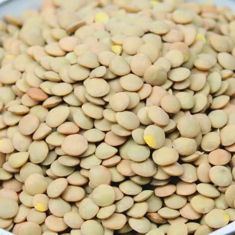 Kompletna kolekcja czterosezonowych nasion warzyw do siewu na balkonach i podwórkach, kolendry, sałaty, truskawek i papryki w pomieszczeniach i na zewnątrz nasiona warzyw