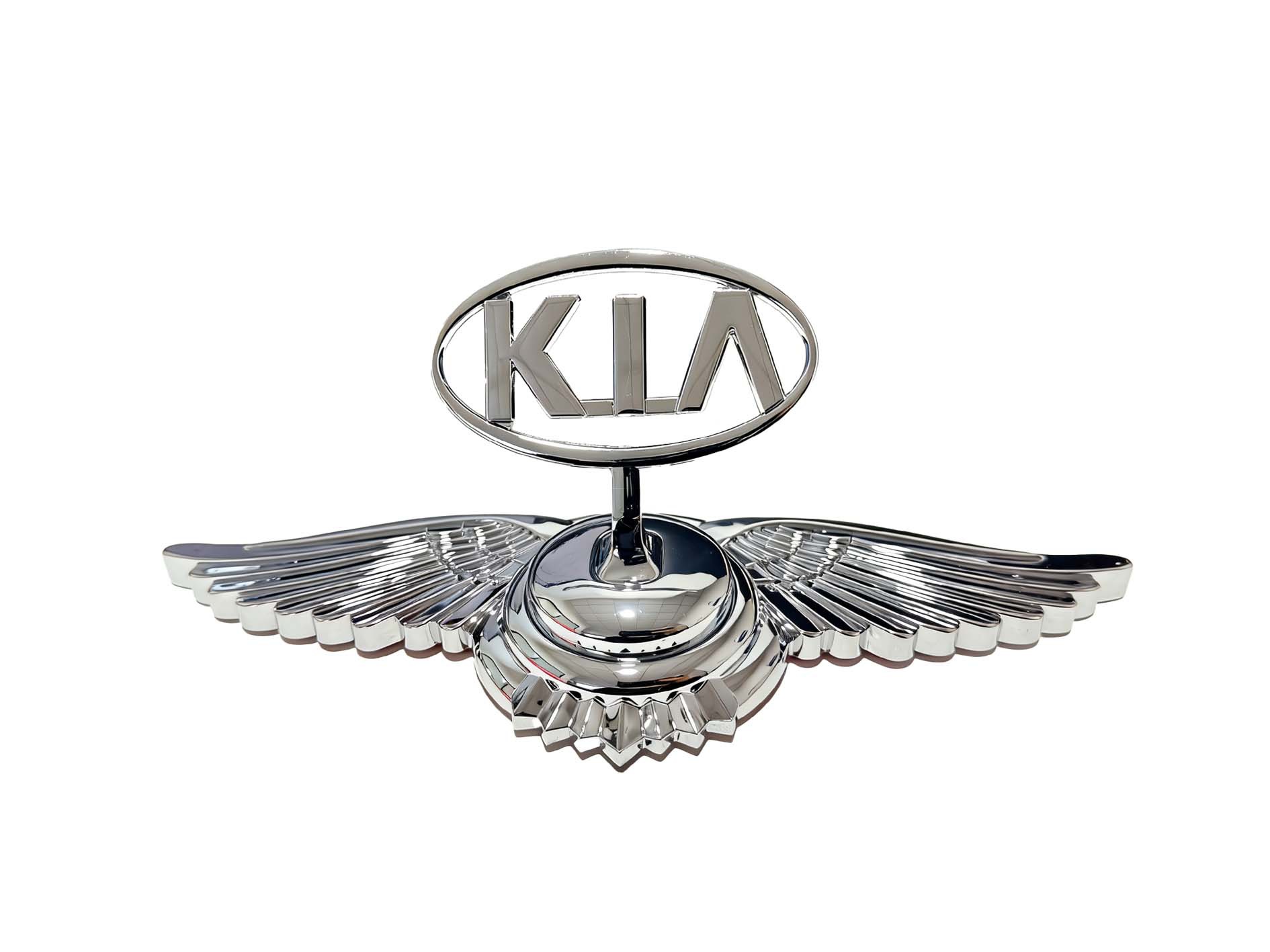 Naklejka z emblematem na maskę samochodu