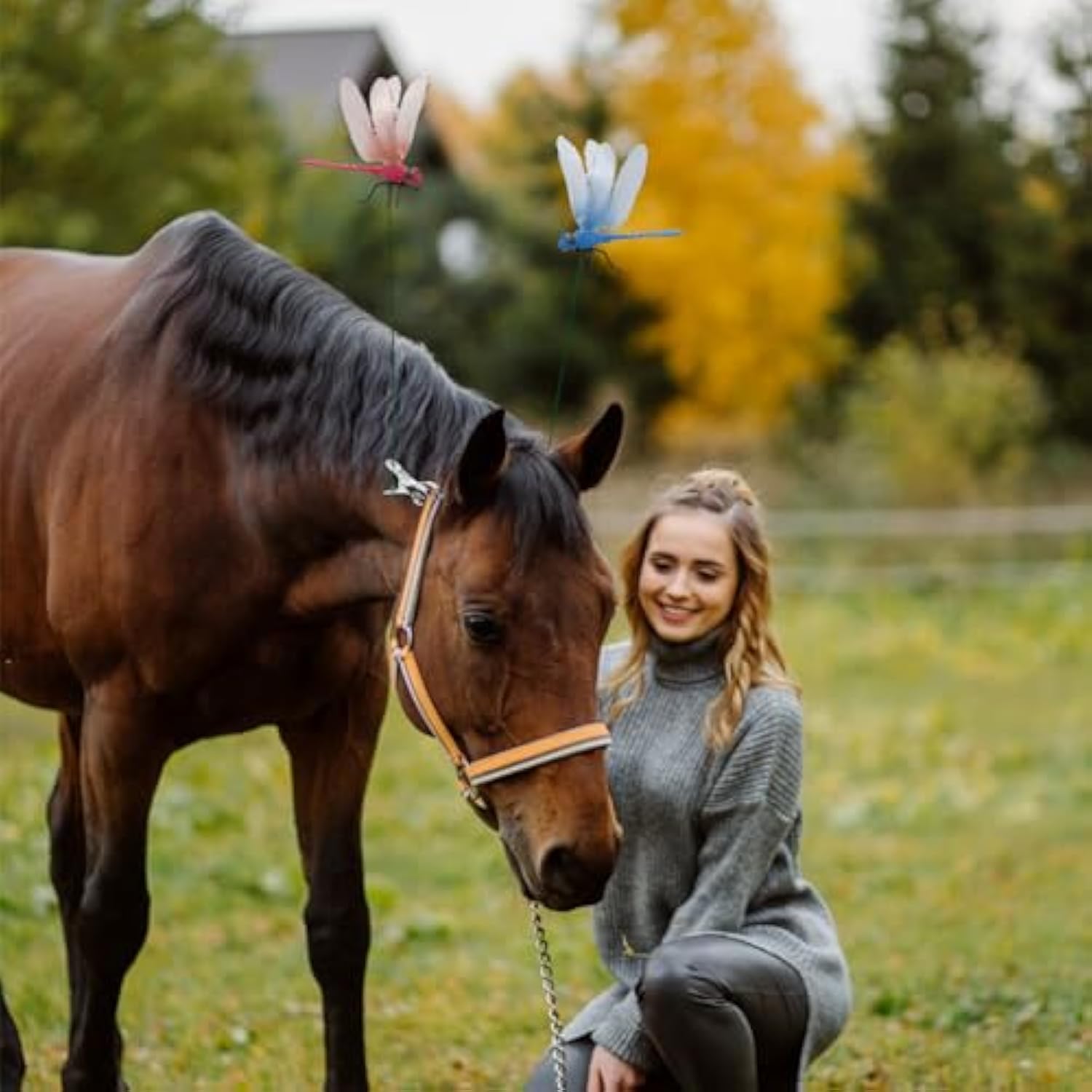 4-piece dragonfly clip garden decoration
