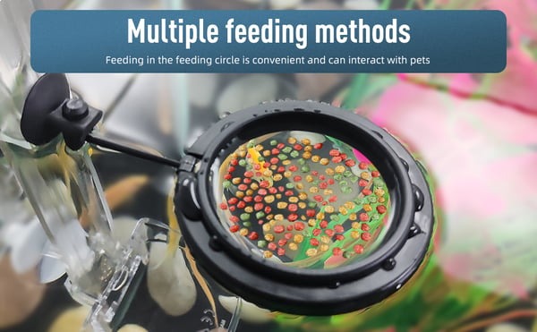 Fish Tank Feeding Tube