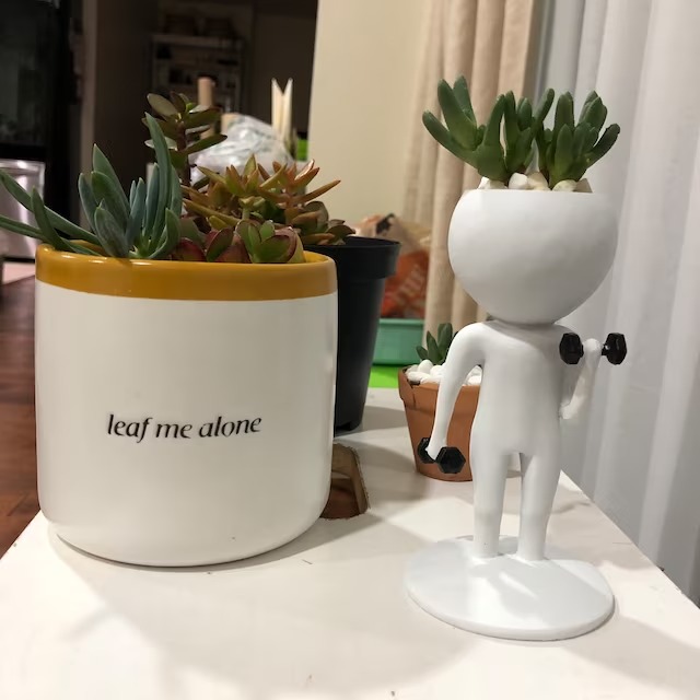 Sports Succulent Planter🏋️‍♂️