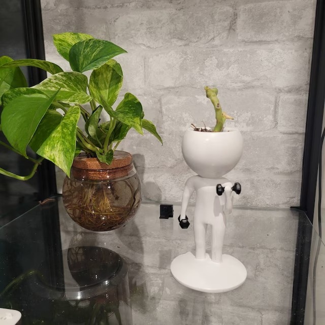 Sports Succulent Planter🏋️‍♂️