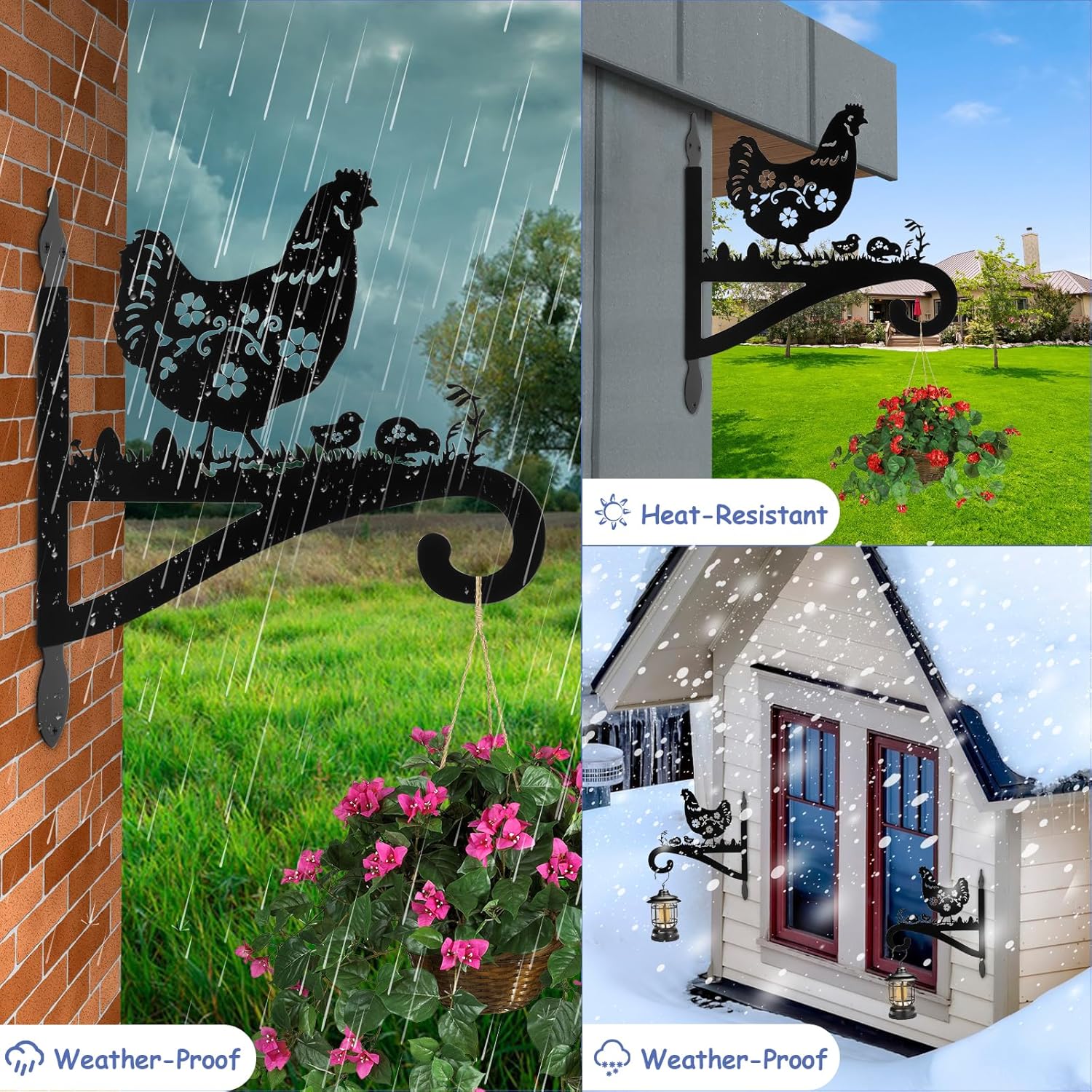 Metal Wall Mount Plant Hanger for Outdoor & Indoor Use