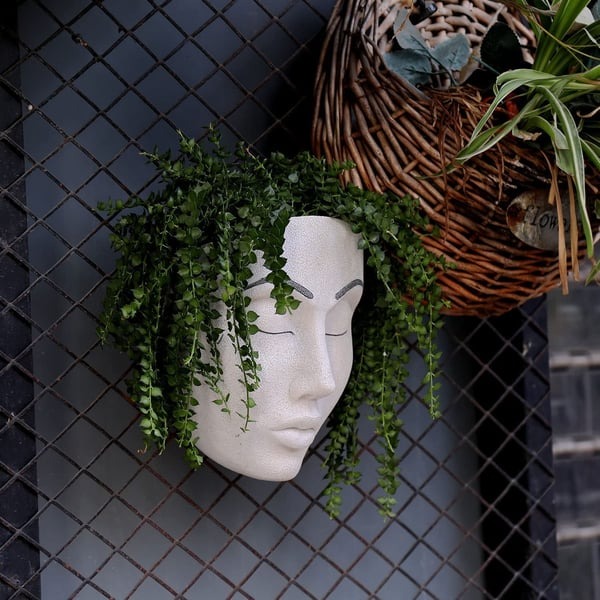 🔥Promotion 49% OFF🎁Plant Faces