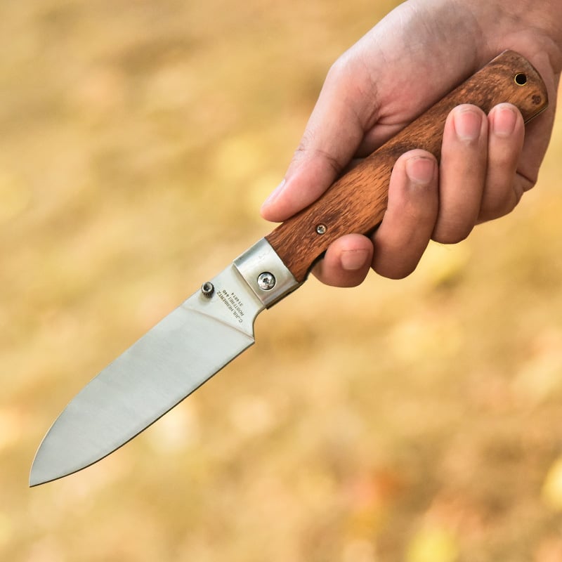 🔥HOST SALES 49% OFF🔥Bread folding knife