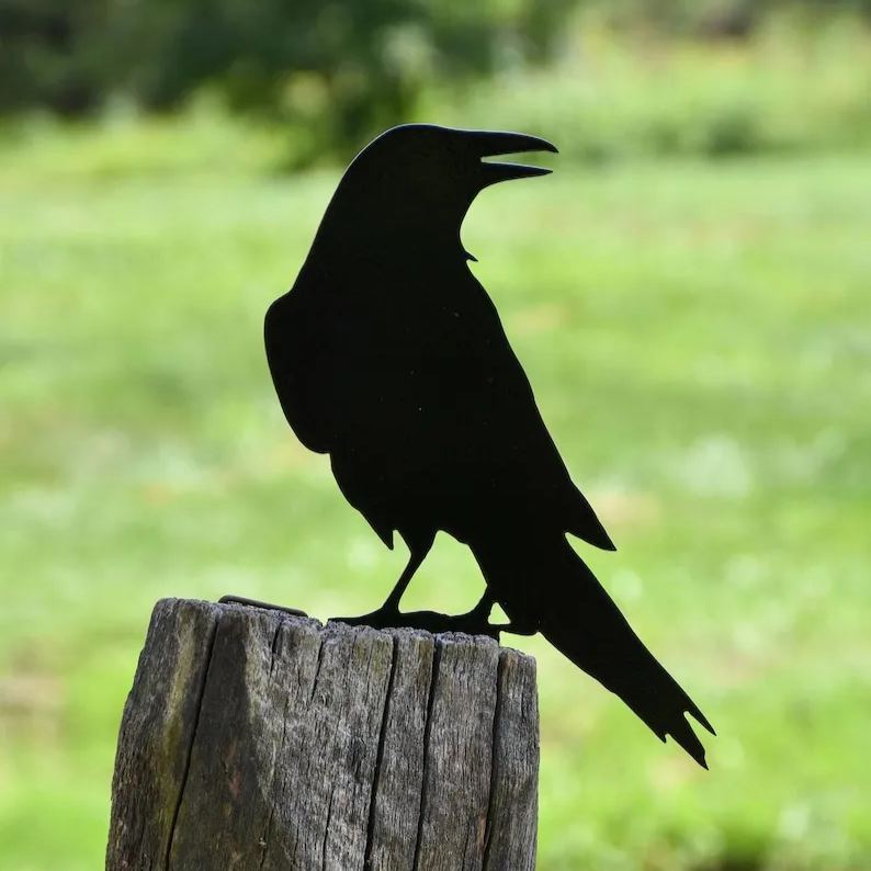 🐦Metal Bird Garden Decoration