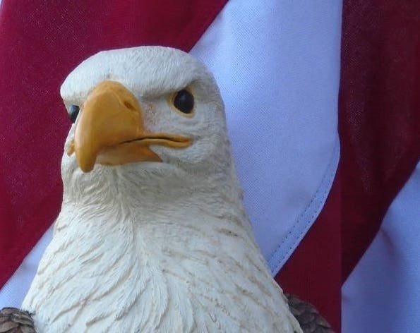 Eagle Concrete Statue Garden Patriotic figurine American bald eagle Ou