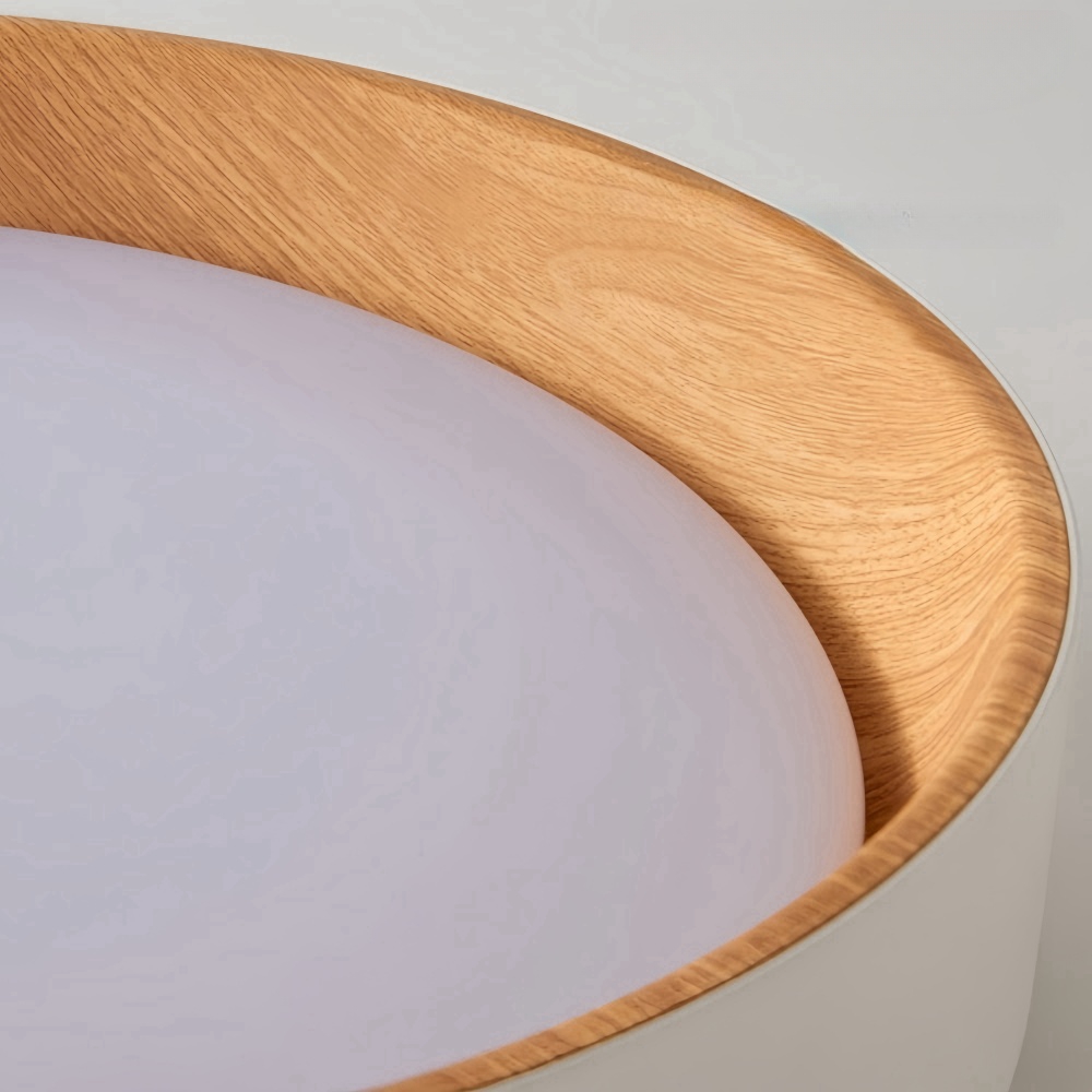 Minimalist LED Round Ceiling Light