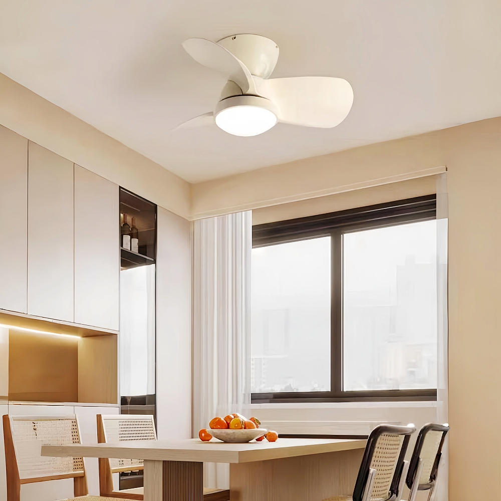 Modern Style Small-Sized 24 Inch Ceiling Fan Light