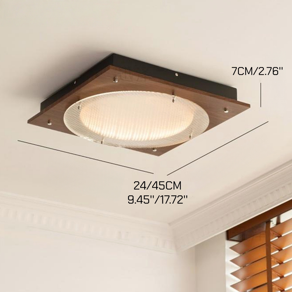 French Bauhaus Entrance Foyer Ceiling Light 