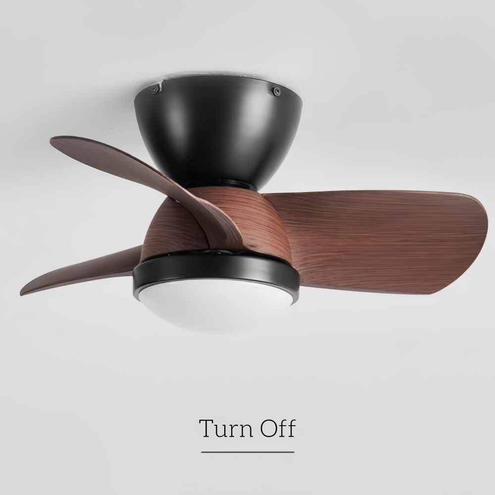 Modern Style Small-Sized 24 Inch Ceiling Fan Light
