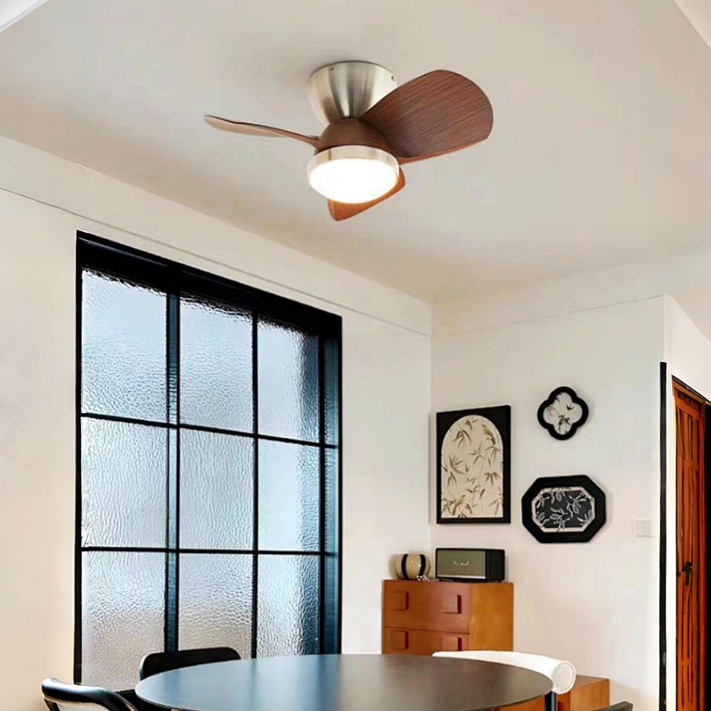 Modern Style Small-Sized 24 Inch Ceiling Fan Light