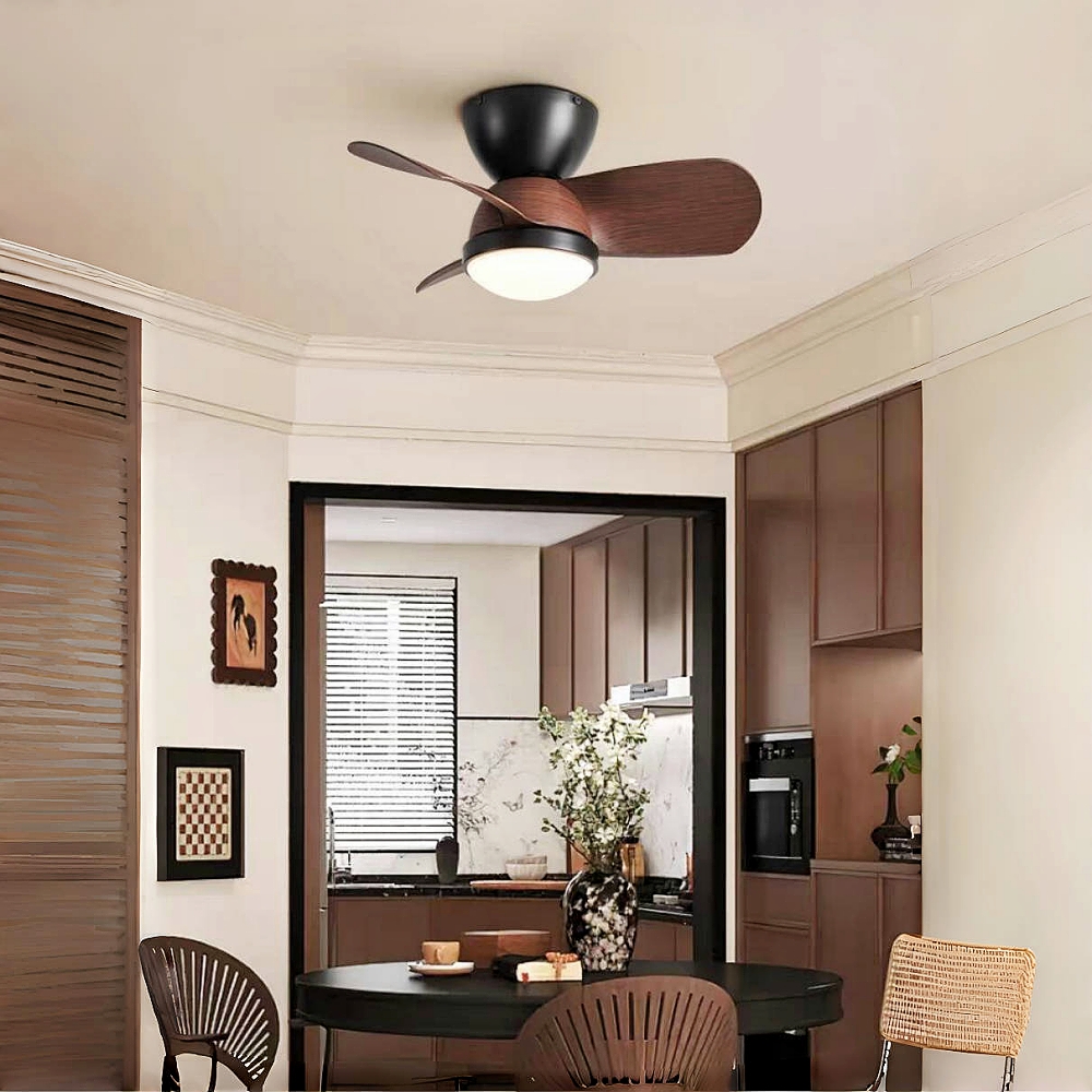 Modern Style Small-Sized 24 Inch Ceiling Fan Light
