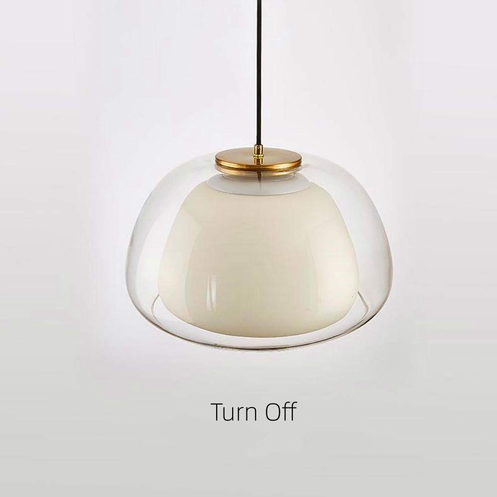 Modern Organic Glass Dome Pendant Light