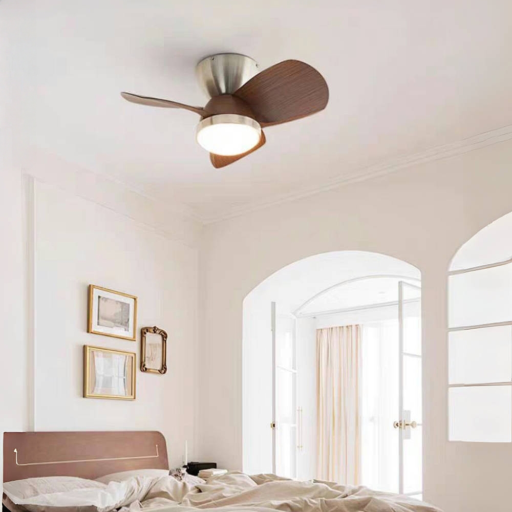 Modern Style Small-Sized 24 Inch Ceiling Fan Light